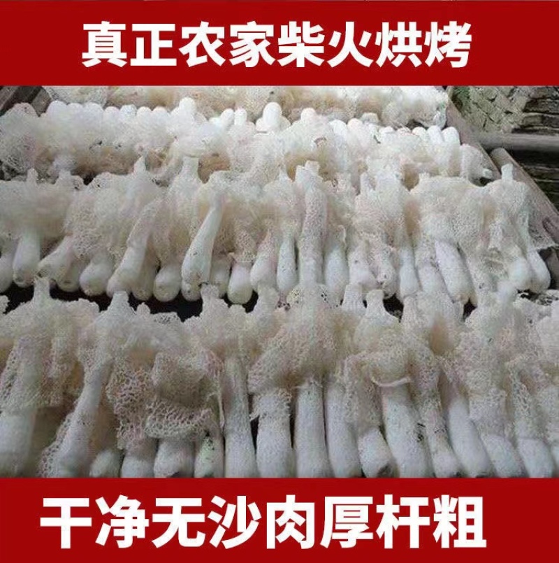 【竹荪】长裙竹荪管竹荪球福建产地直供原色无硫无干燥剂视频拿货