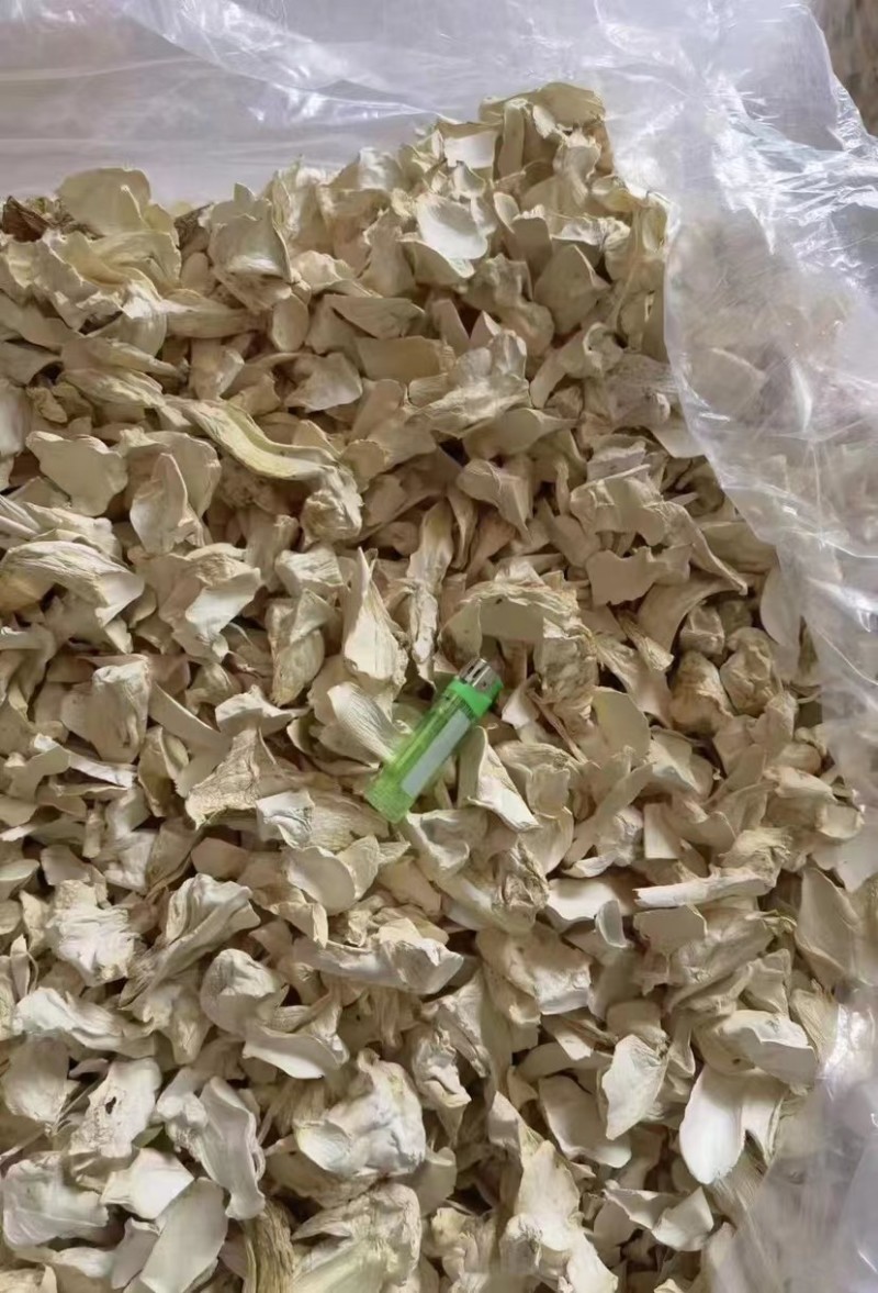 精品杏鲍菇福建规格齐全小中大片价格优惠保质保量电联优惠