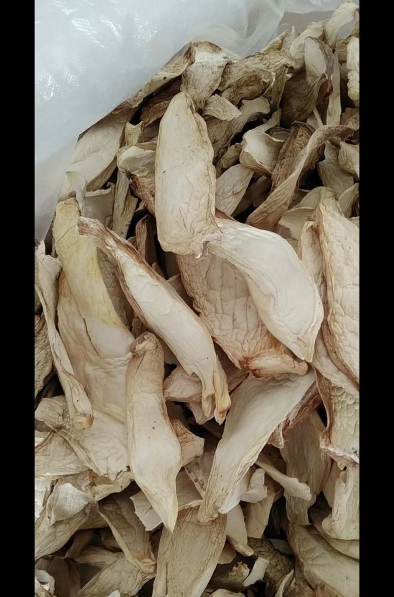 精品杏鲍菇福建规格齐全小中大片价格优惠保质保量电联优惠