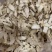 精品杏鲍菇福建规格齐全小中大片价格优惠保质保量电联优惠