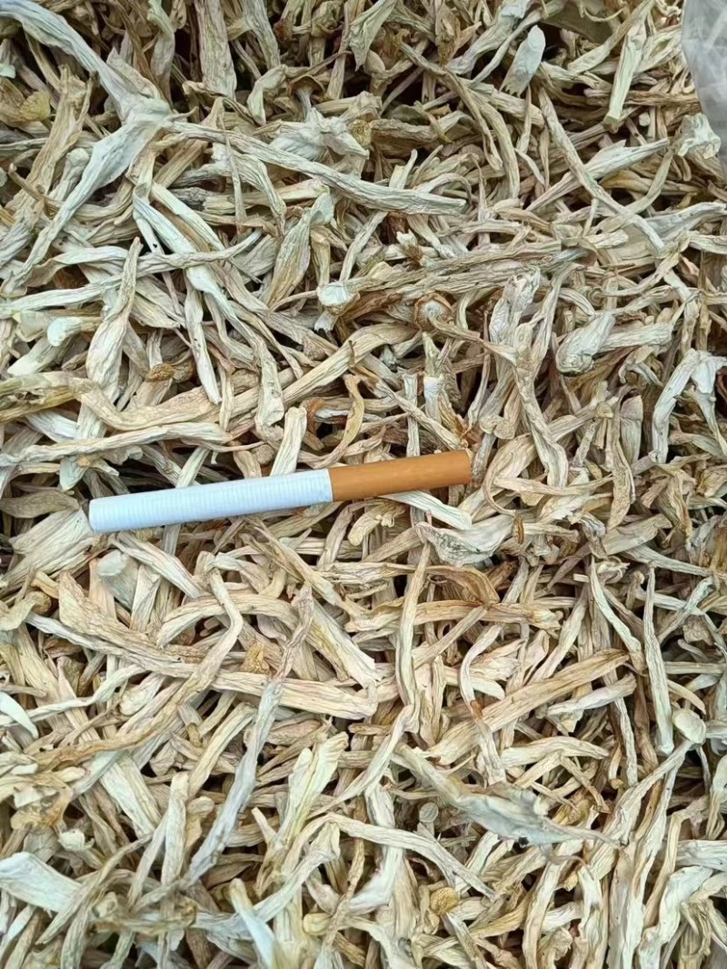 干白玉菇海鲜菇福建晒干白玉菇产地直供代发全国一条龙服务电联