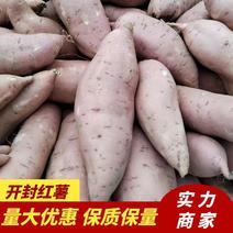 开封沙地红薯精品龙薯大量上市，电商，超市，市场，品质