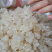 拉丝雪燕多规格一手货源雪燕大货批发货源稳定量大价优
