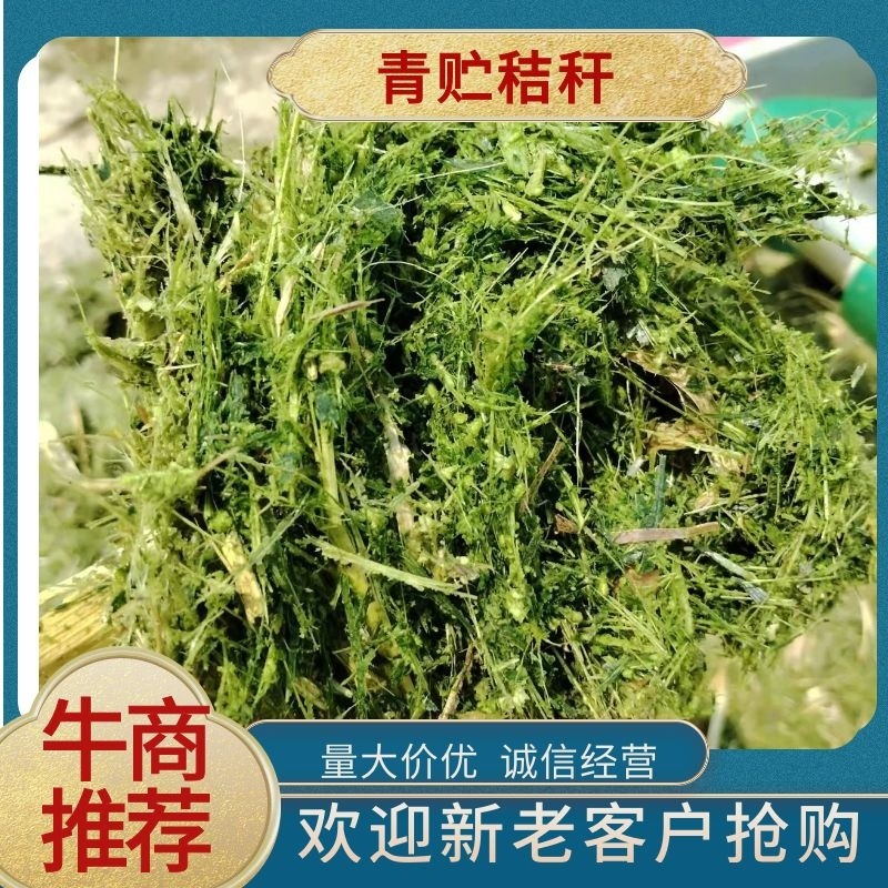 青贮秸秆揉丝饲料玉米秸秆散装打包规格齐全