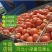 【热卖推荐】河北本地硬粉3113西红柿大量供应价格可来电详谈