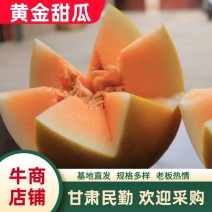 金红宝蜜瓜民勤蜜瓜民勤甜瓜产地直发量大从优电联采购