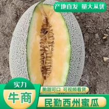 西州蜜瓜甘肃民勤哈密瓜产地直发量大从优脆甜可口电联