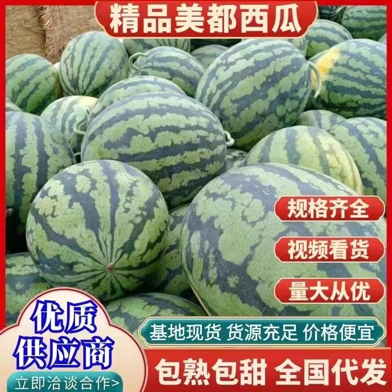 （推荐）精品美都西瓜，原产地直发品质保证甜度高货源充足