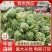西农西瓜江苏西瓜宿迁产地直发大量有货价格公道电联采购