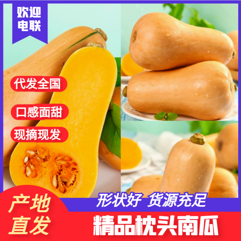 陕西南瓜精品城固南瓜枕头南瓜甜软糯一手货源货源充足产地直销