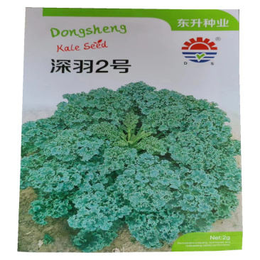 羽衣甘蓝种子深羽2号羽衣甘蓝种子羽状深裂2克
