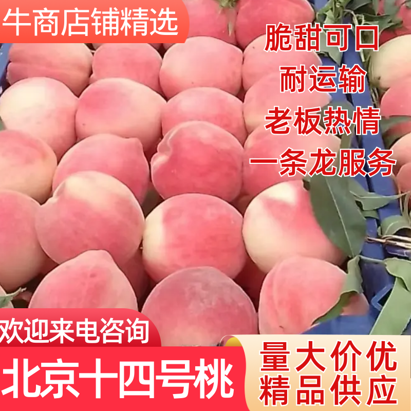北京十四号大量上市，硬度好，口感甜，一打两开，欢迎联系