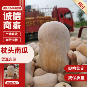 陕西城固南瓜枕头南瓜大量现货供应诚信报价