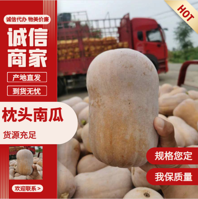陕西城固南瓜枕头南瓜大量现货供应诚信报价