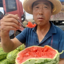 【推荐】金花一号西瓜，口感好质量保证，价格合理，货原充足