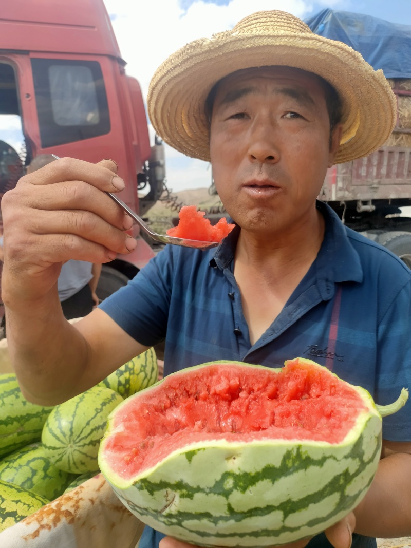 宁夏金花西瓜一手货源产地直销诚信经营一条龙