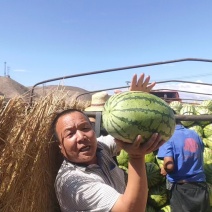 宁夏金花西瓜一手货源产地直销诚信经营一条龙