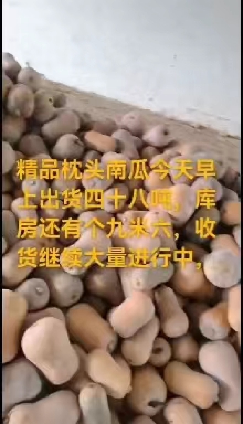 便宜！枕头南瓜城固南瓜供电商市场商超产地直发真便宜