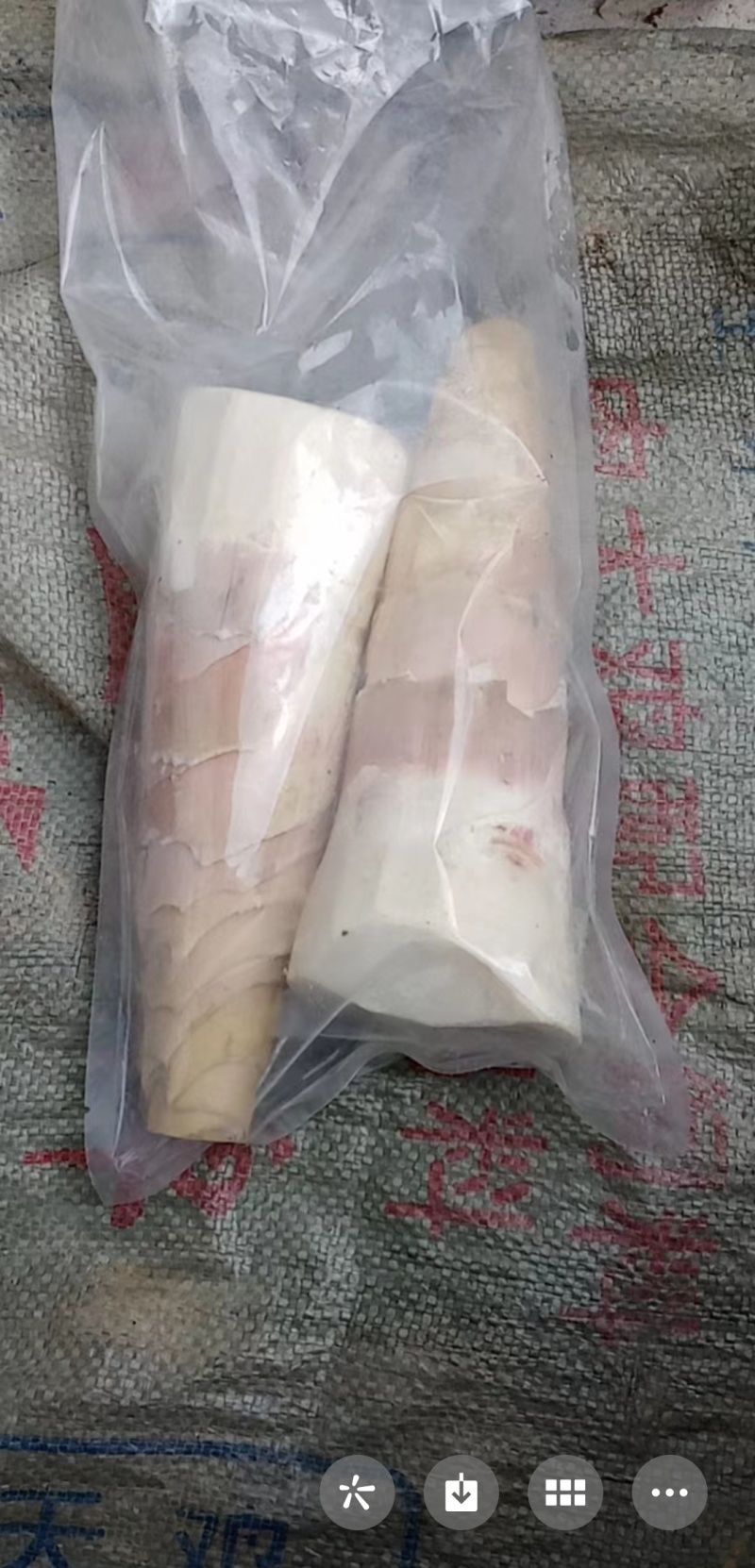 广东水果甜笋品质保证个头均匀质优价廉欢迎来电