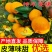 特早蜜橘大量上市果园现摘现发对接电商市场等