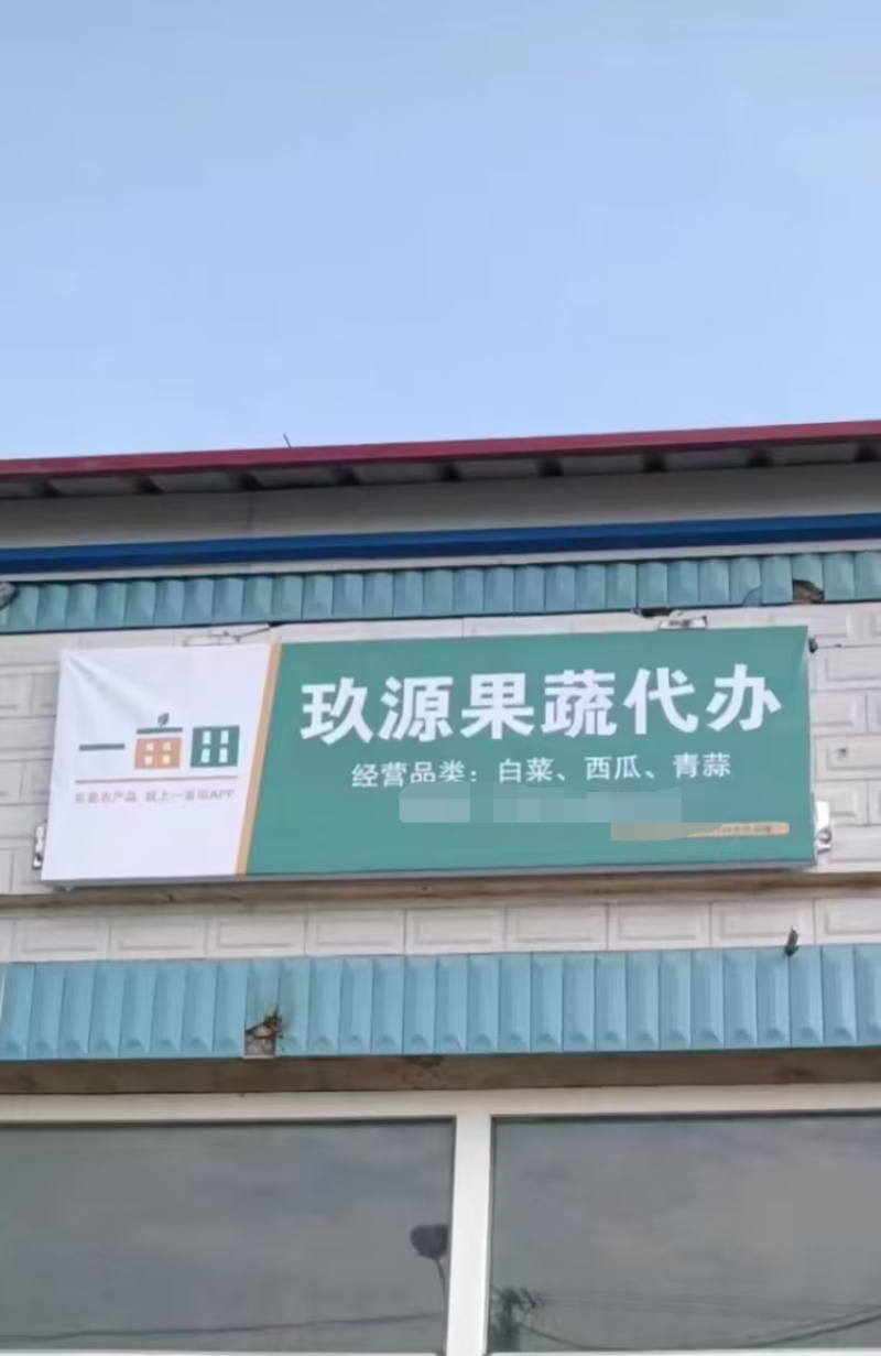 吉林白城陆地地雷西瓜专业代办质量保证糖度高