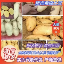 【实力】优选土豆希森土豆大量上市，质量保证。产地现货