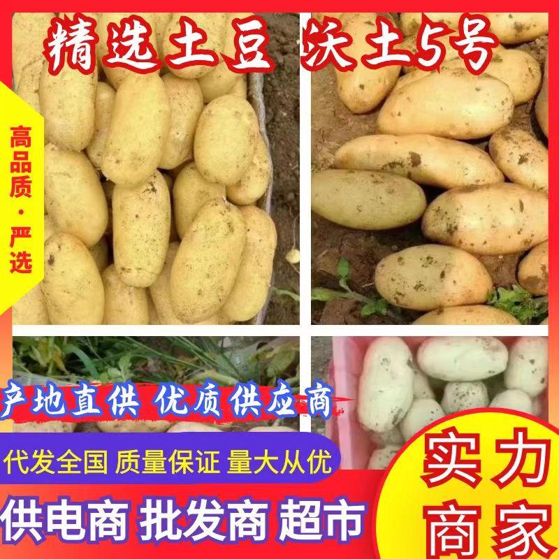 【优选新土豆沃土5号希森六号大量上市，质量保证