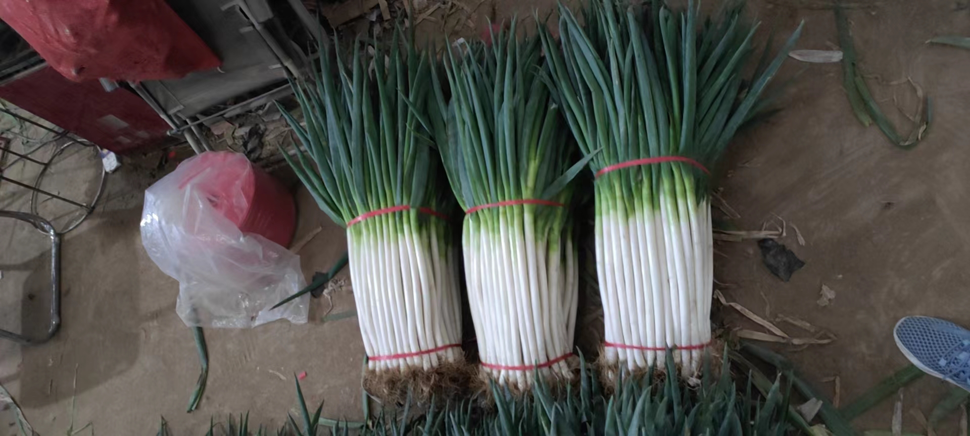 城市农贸市场内,一捆捆新鲜的铁杆大葱整齐摆放在摊位上,葱白修长洁白,葱叶青翠欲滴,旁边有顾客正在挑选购买,背景可见‘本地铁杆大葱’的手写招牌 铁杆大葱在市场上的销售场景