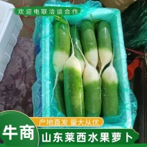 【对接商超市场电商】山东水果萝卜品质保证诚信经营欢迎