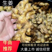 【热卖】生姜精品老姜一手货源量大从优欢迎咨询