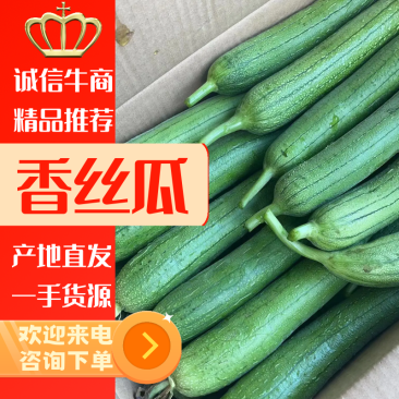 香丝瓜，产地直发代发全国，对接电商市场商超等各类客
