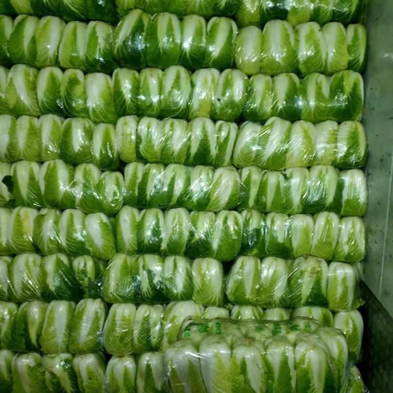 【精选】黄心白菜玲珑黄无虫眼起薹品质保证代发全国