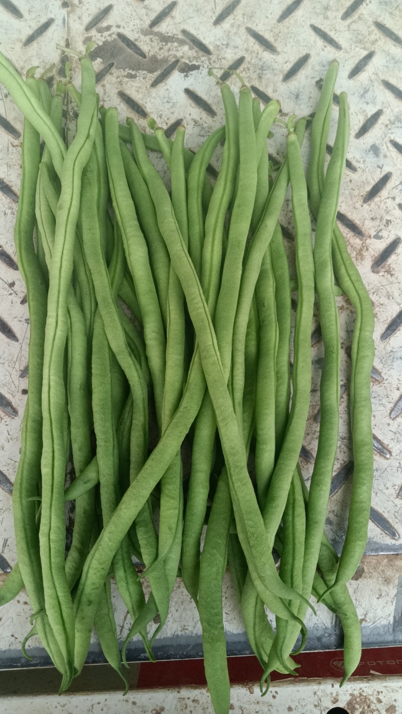 偏豆无筋豆小金豆大量上市需要联系