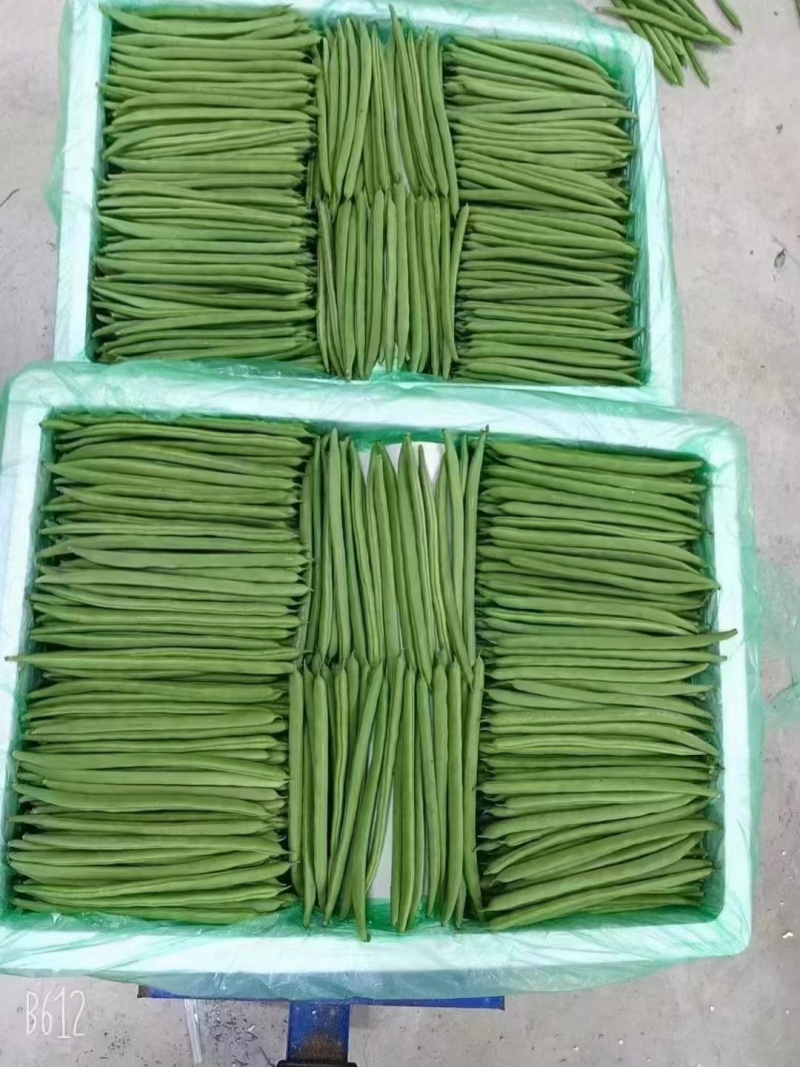 偏豆无筋豆小金豆大量上市需要联系