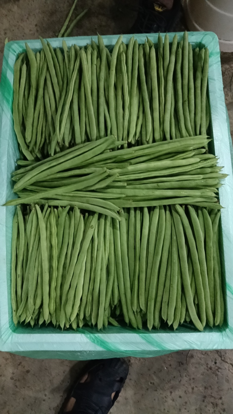 偏豆无筋豆小金豆大量上市需要联系