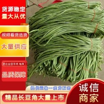 精品长豆角，现已大量上市，可以视频看货量大从优