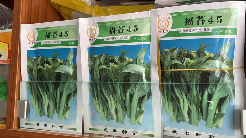 福苔45白菜苔种子