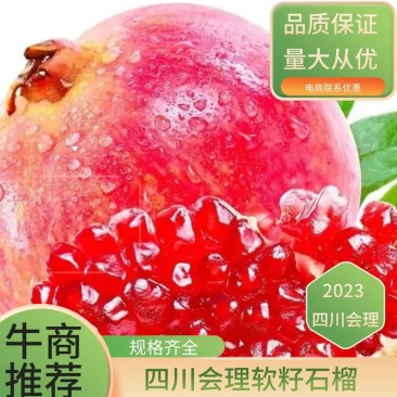 四川会理软籽石榴原产地直供量大从优品质保证
