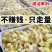【推荐】大三花鹅苗包运输包成活率货到满意付款孵化场直供