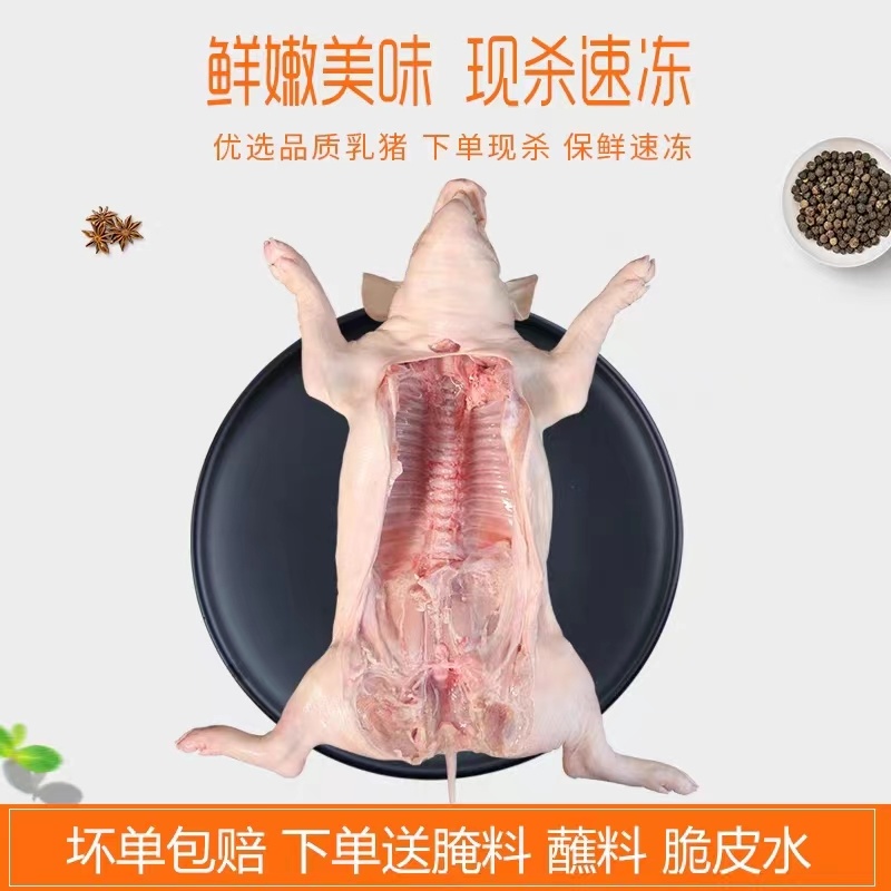 【推荐】鲜冻乳猪，半成品乳猪一手货源规格齐全厂家直销