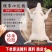 【推荐】鲜冻乳猪，半成品乳猪一手货源规格齐全厂家直销