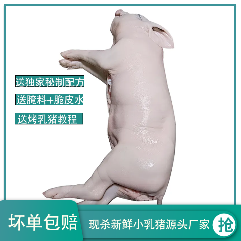 【推荐】鲜冻乳猪，半成品乳猪一手货源规格齐全厂家直销
