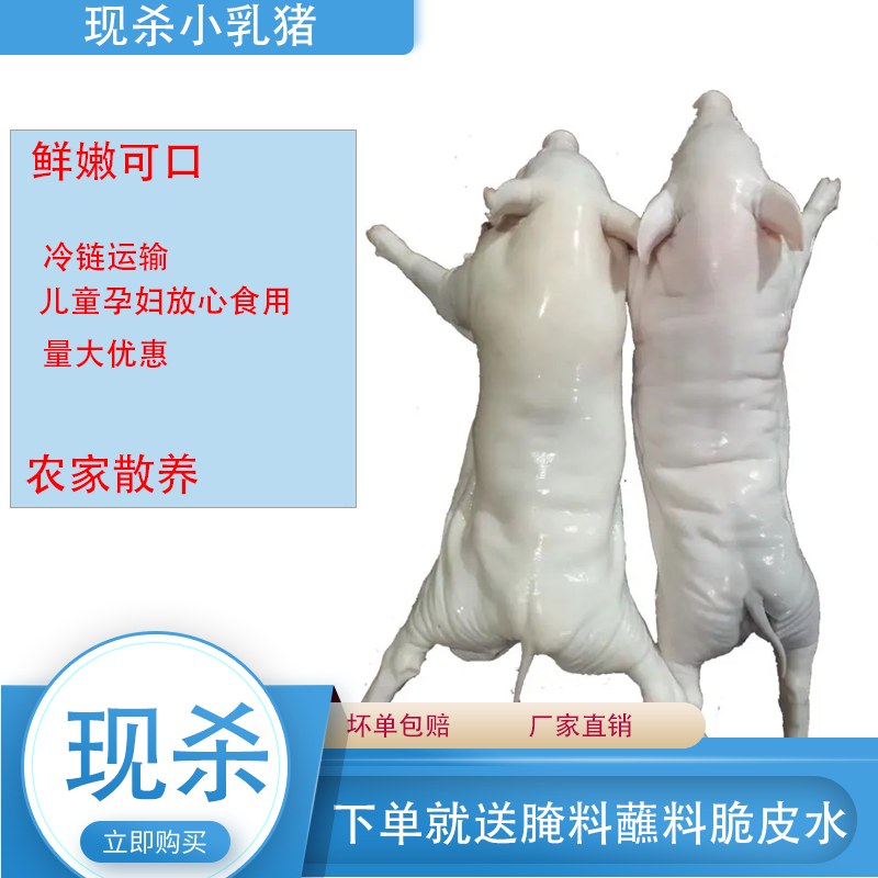 【推荐】鲜冻乳猪，半成品乳猪一手货源规格齐全厂家直销