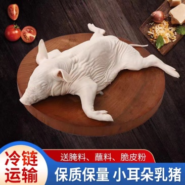乳猪整只脆皮乳猪整只批发乳猪白条厂家一手货源欢迎来电咨询