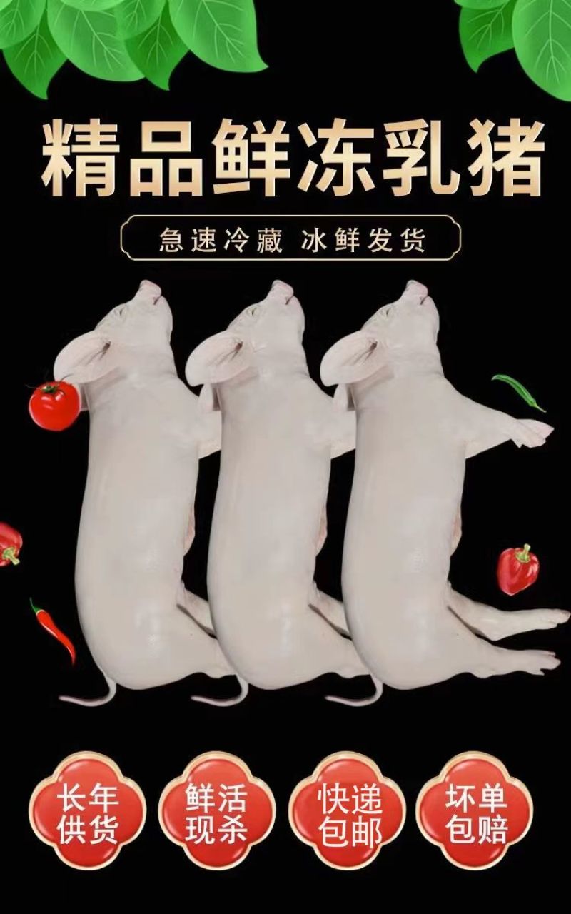 乳猪整只脆皮乳猪整只批发乳猪白条厂家一手货源欢迎来电咨询
