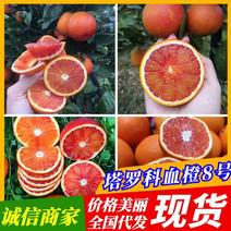 四川产地橙子塔罗科血橙皮薄无籽水份充足甜蜜化渣专业服务