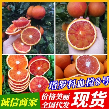 四川产地橙子塔罗科血橙皮薄无籽水份充足甜蜜化渣专业服务