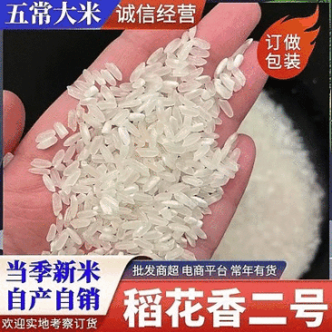 稻花香2号,五常大米,自产自销,保质保量,民乐基地直发。