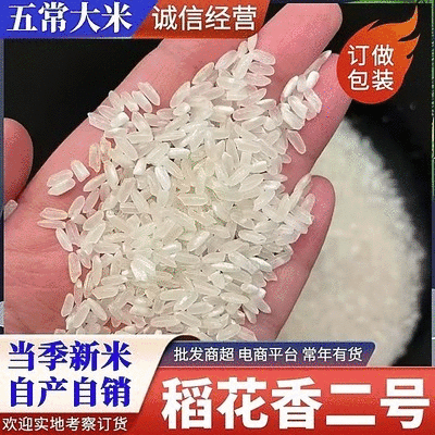 稻花香2号，五常大米，自产自销，保质保量，民乐基地直发。