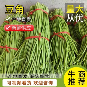 精品豇豆青条豆角长豆角产地直供保质保量全国发货